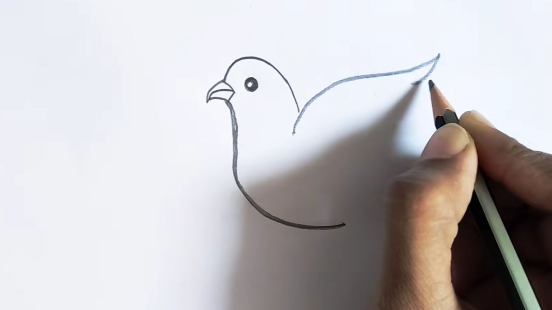 "Step-by-step guide illustrating how to draw a bird, featuring clear instructions and visual examples."