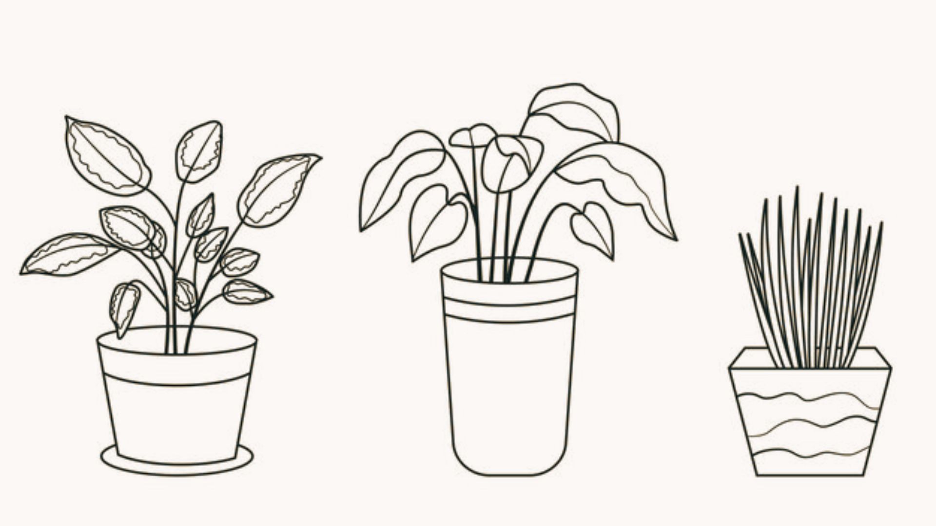 Three easy line art potted plants with different leaf shapes and pots for simple drawing ideas.