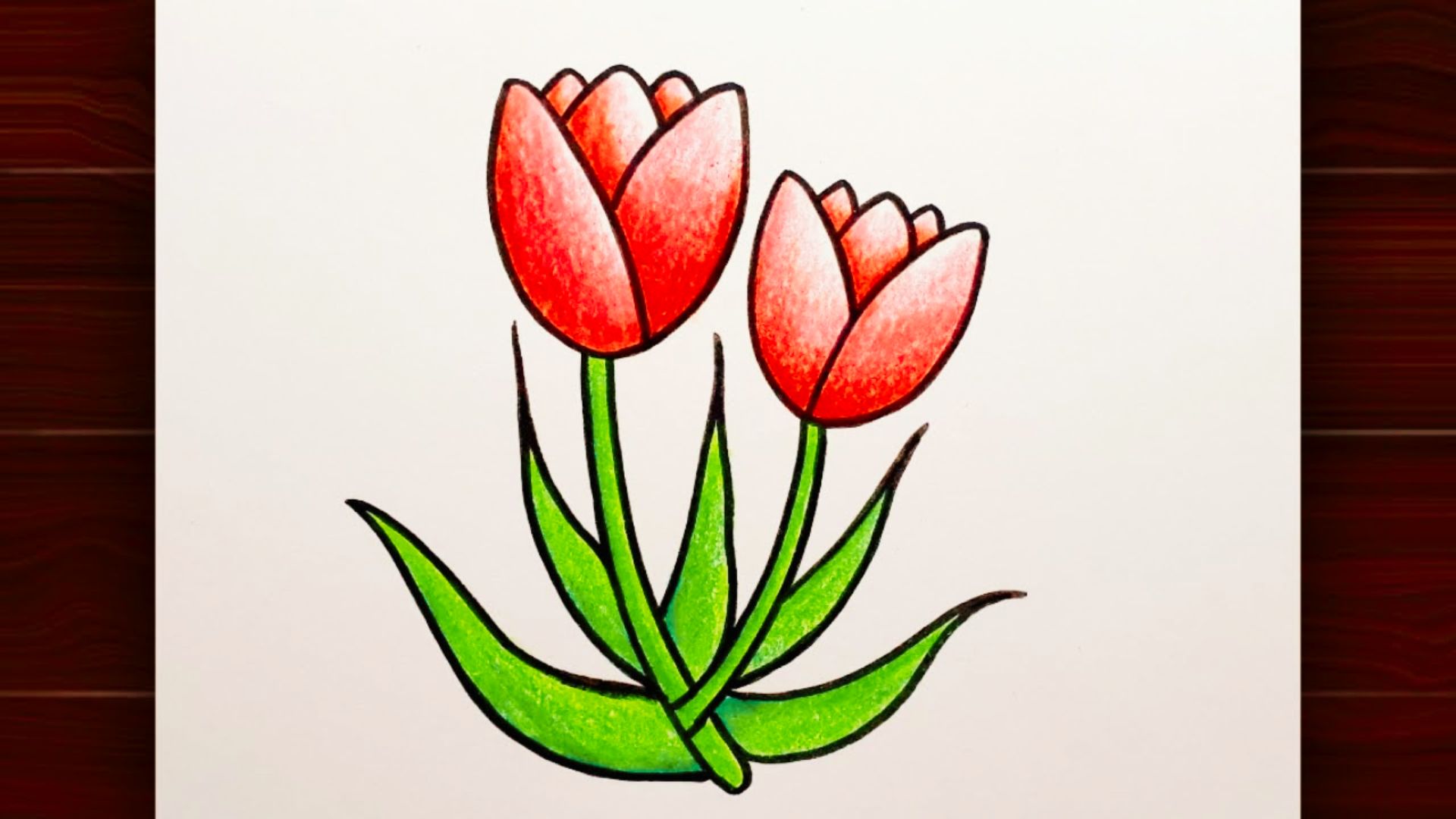 Realistic colored pencil illustration of three red tulips being shaded by a hand holding a red pencil.