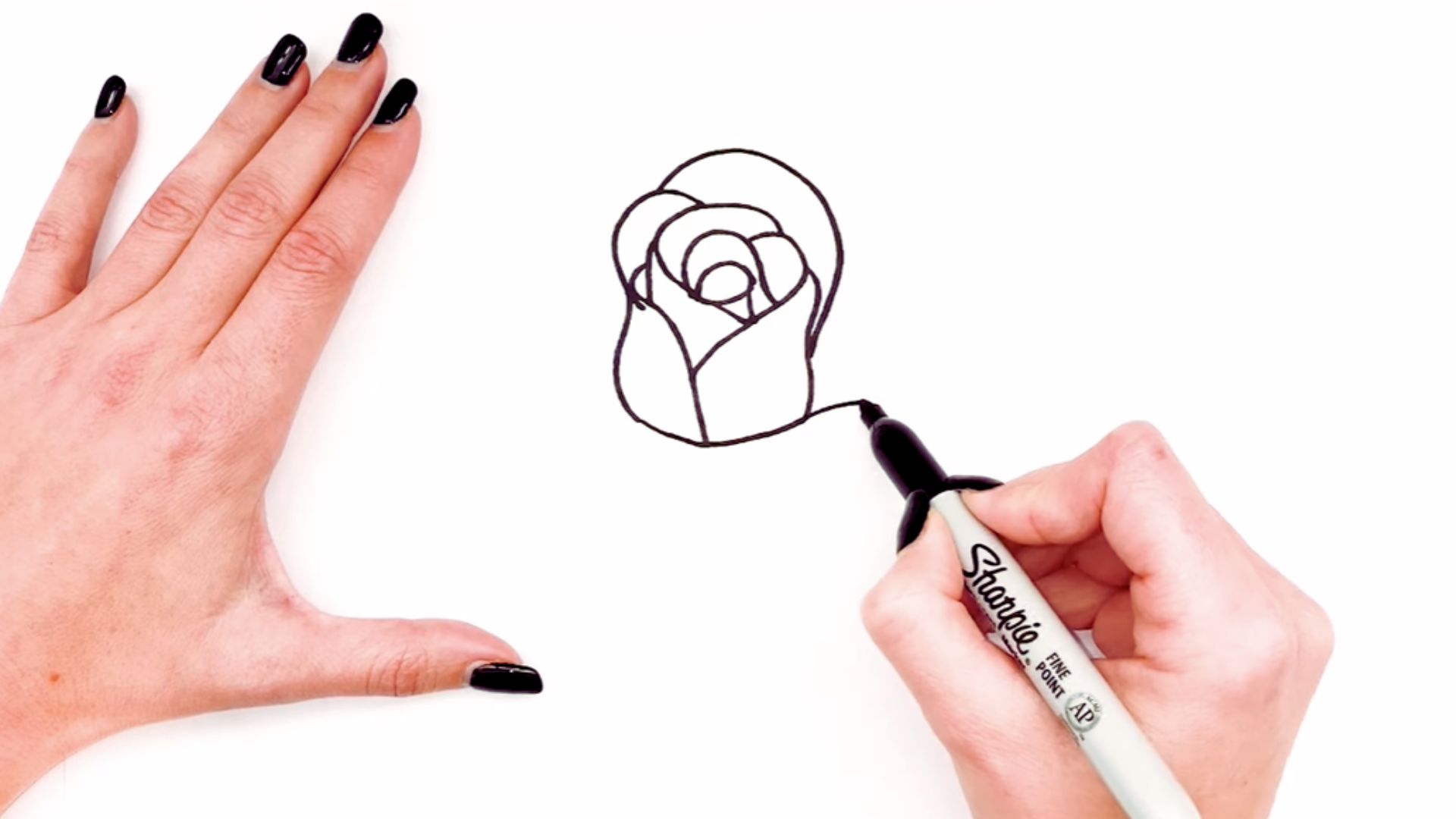 "Step-by-step guide on drawing a rose using a marker, featuring illustrated instructions and tips for shading."