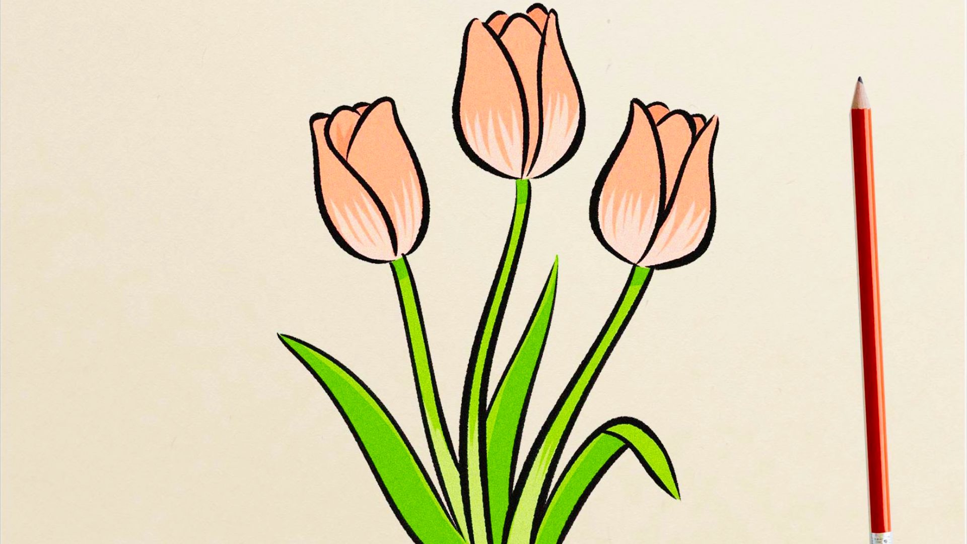 Cartoon-style illustration of three peach tulips with bold black outlines and bright green stems and leaves.