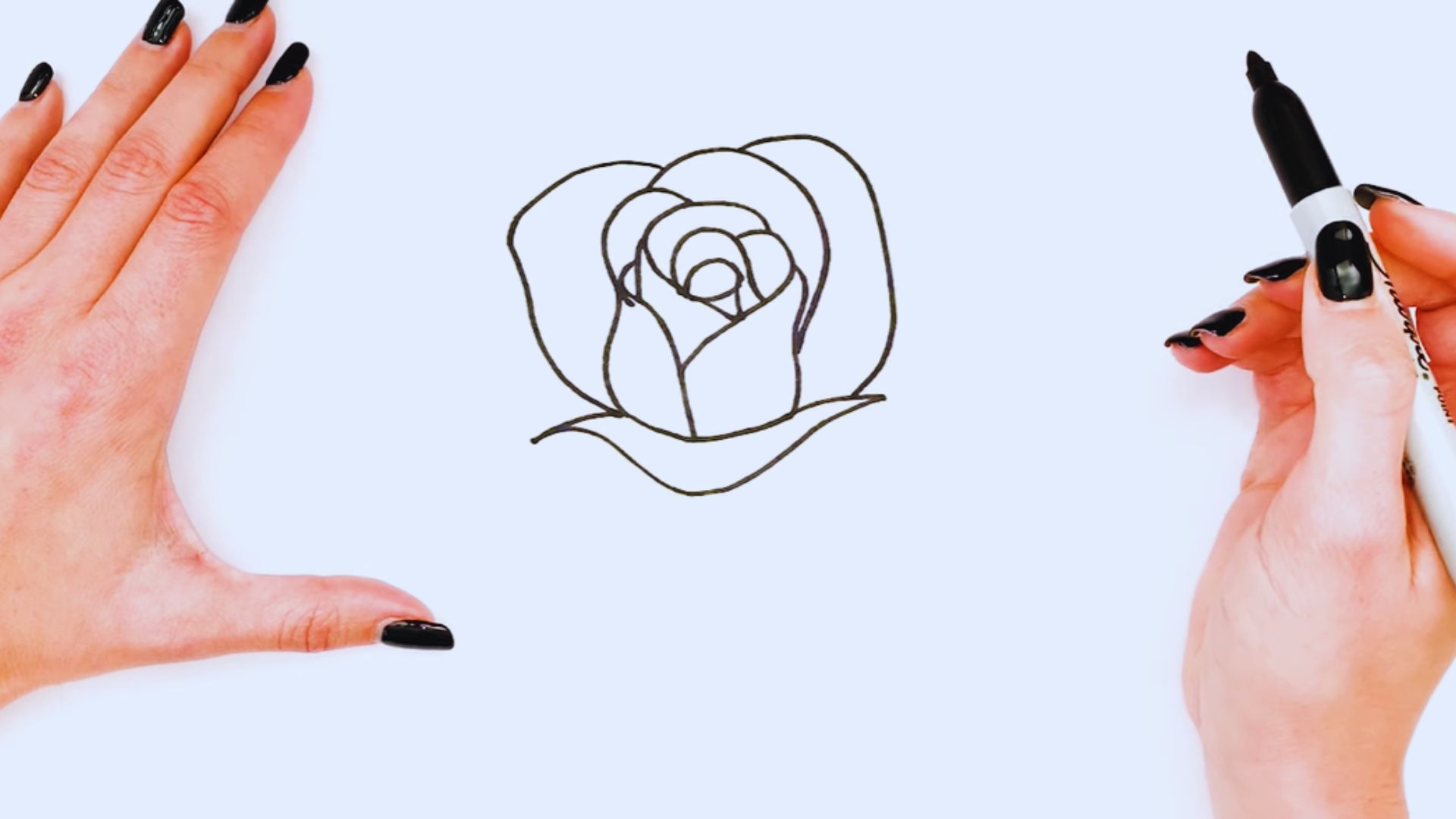 "Step-by-step guide illustrating how to draw a rose, featuring pencil sketches and color examples."