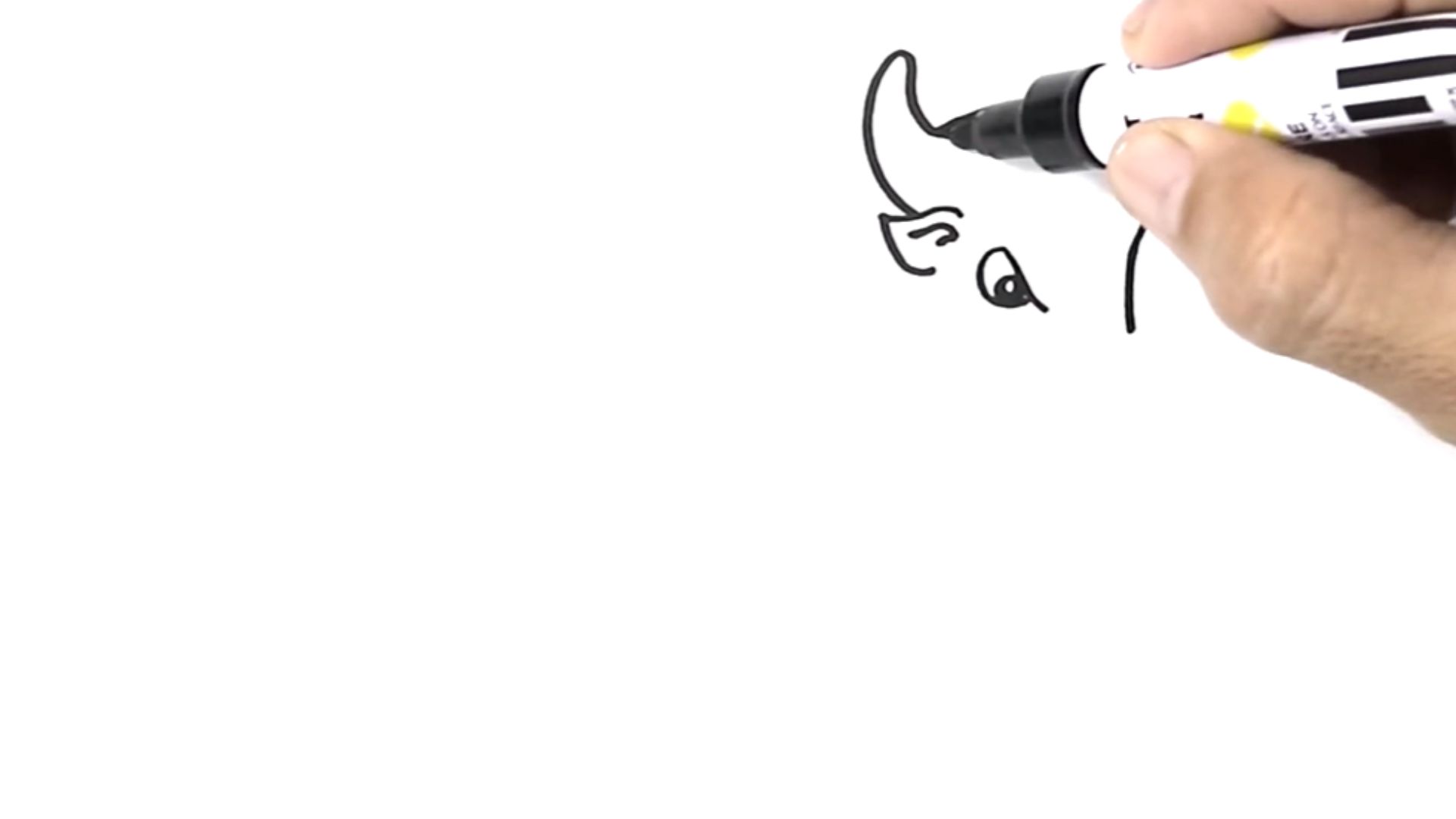 "Step-by-step guide on how to draw, featuring illustrations and instructions from a YouTube tutorial."