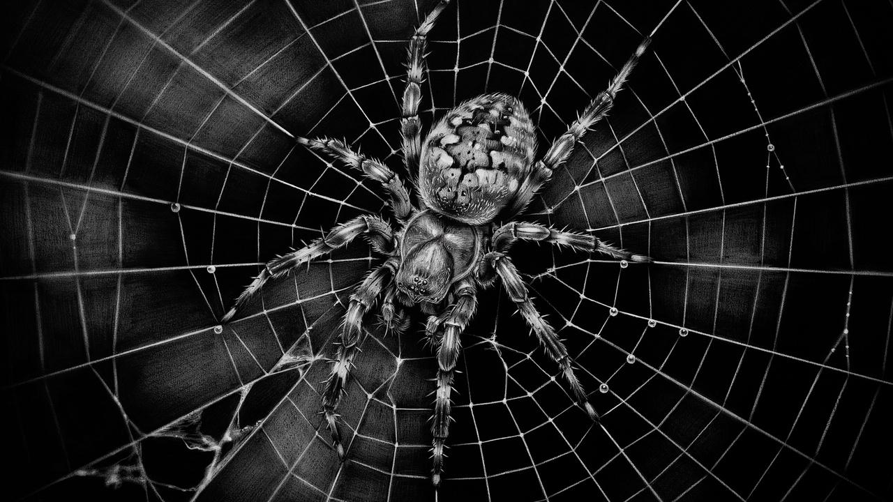Detailed spider sitting in the center of a web covered with realistic textures and dew drops.