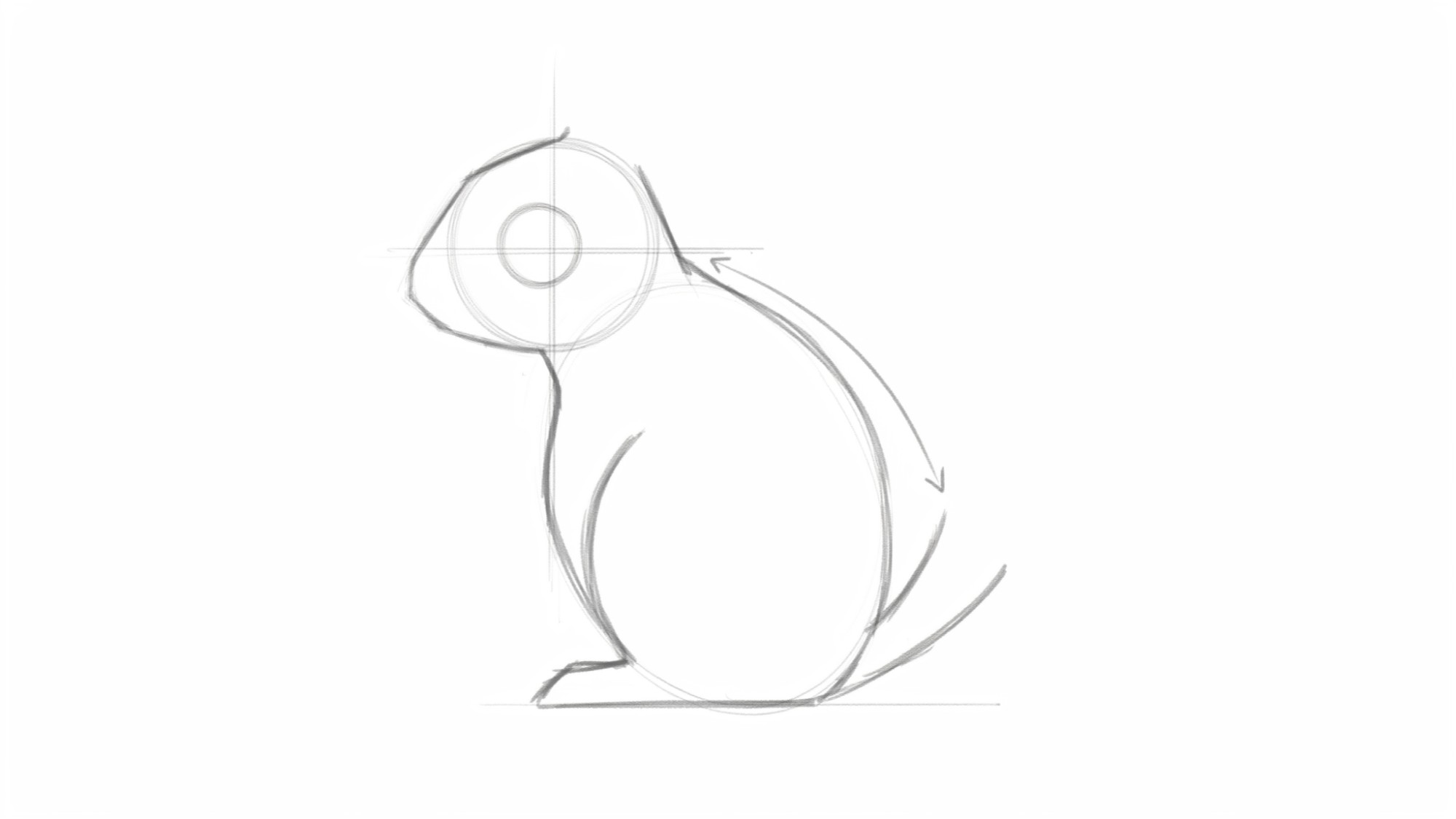 Step 1: Draw the Squirrel’s Basic Body Shape