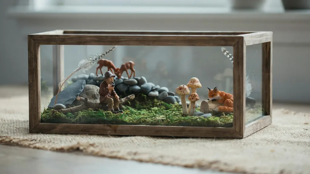 Terrarium shadow box with moss and stones.