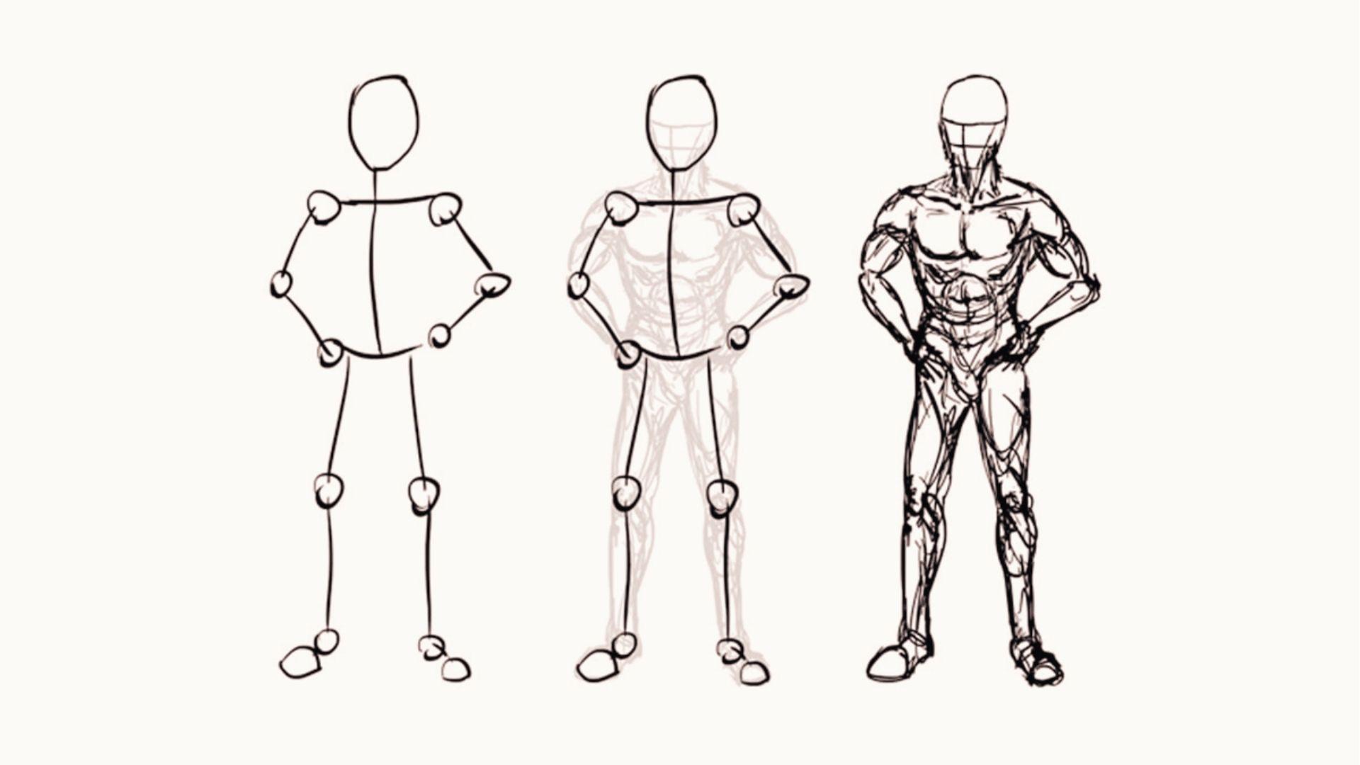 Three-stage figure drawing stick figure to anatomy sketch to muscular form showing depth