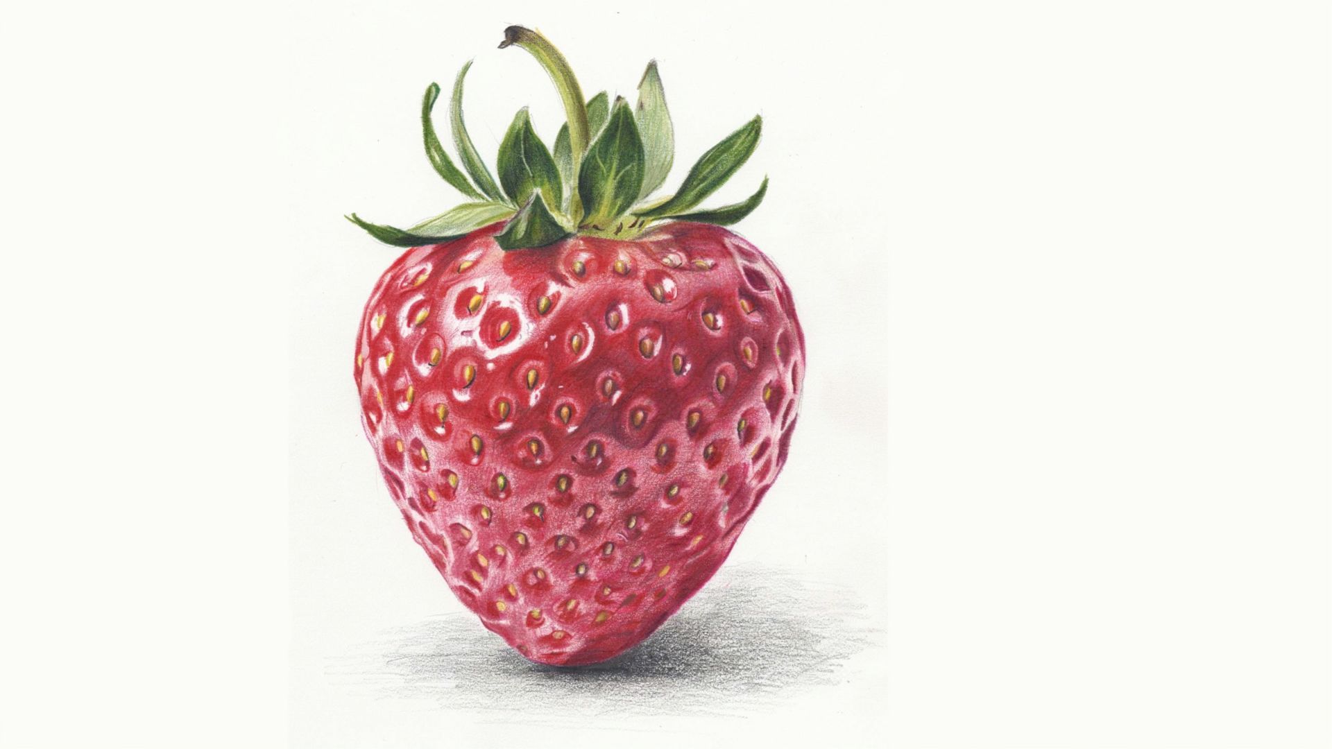 Smoothly blended shading creating a realistic strawberry drawing.