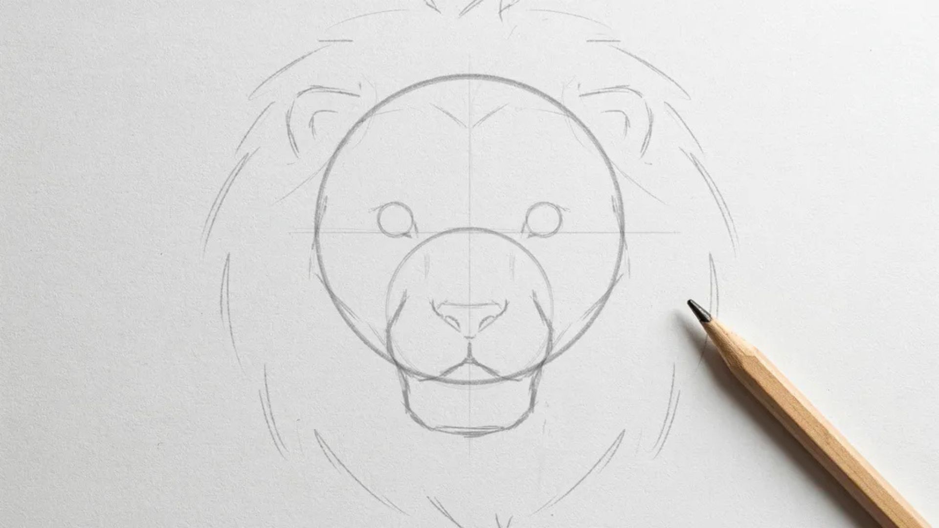 Basic shapes used for easy lion drawing