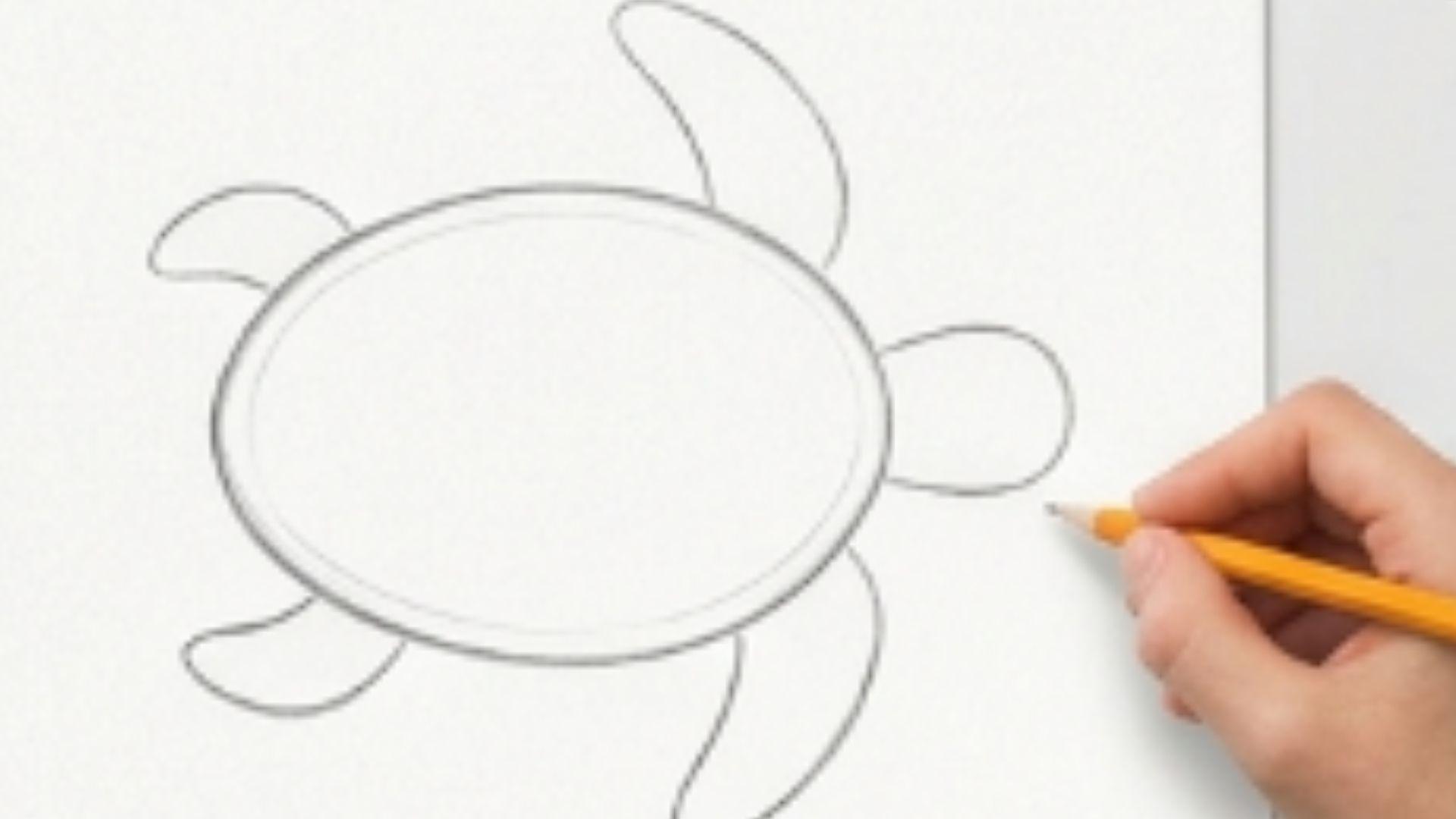 Four curved flippers are added to a sea turtle body, two at the front and two at the back, shown in a simple pencil drawing tutorial.