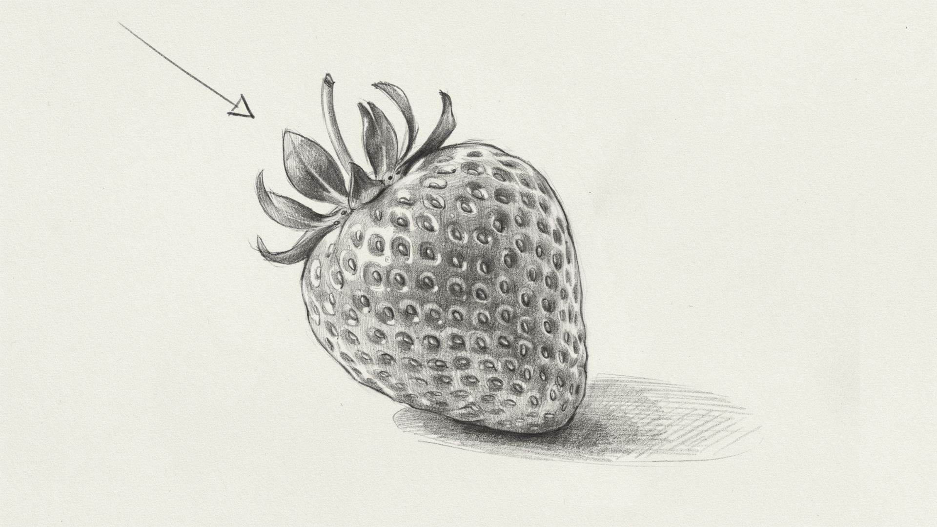 Strawberry drawing showing light source direction and highlight placement.