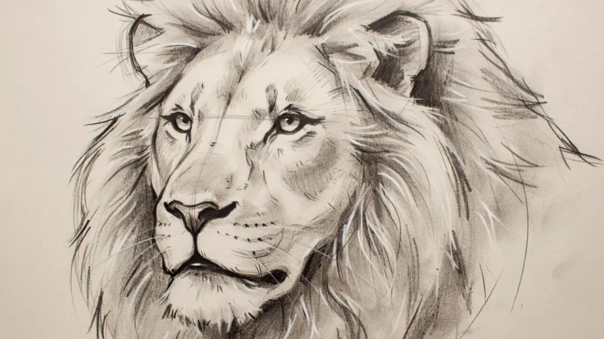 Lion face outline in a beginner drawing tutorial