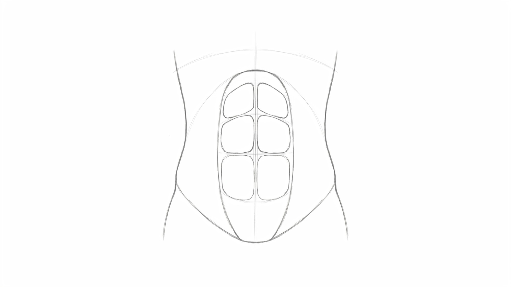 Simple sketch of abdominal muscles.