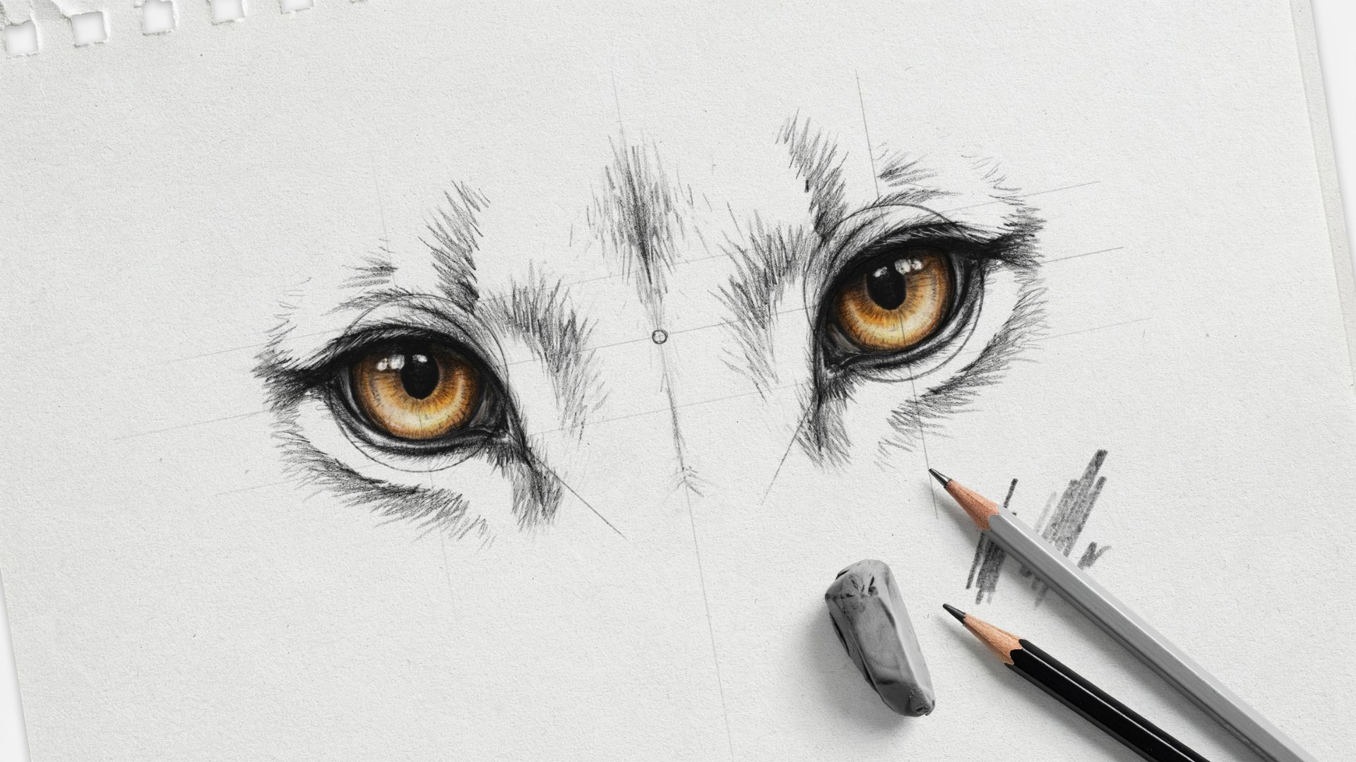 Drawing lion eyes step by step