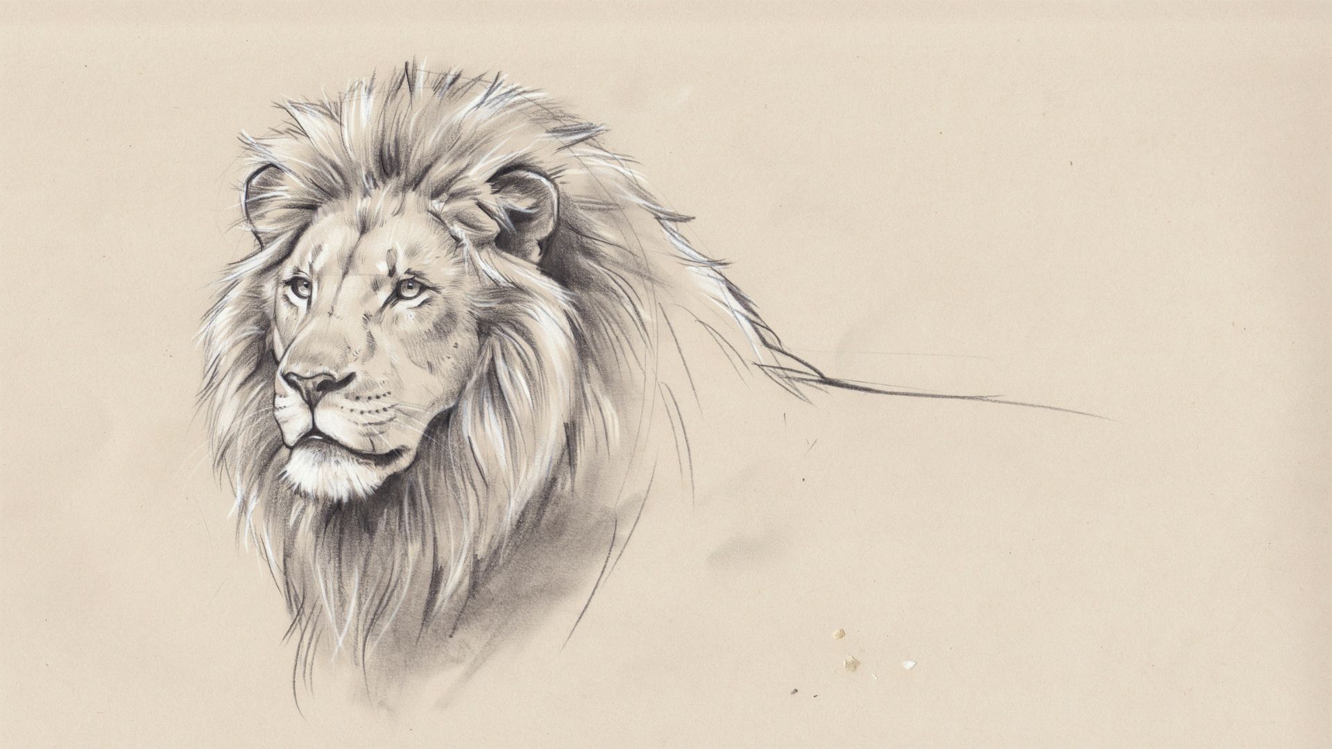 Refining lion ears and mane in a sketch