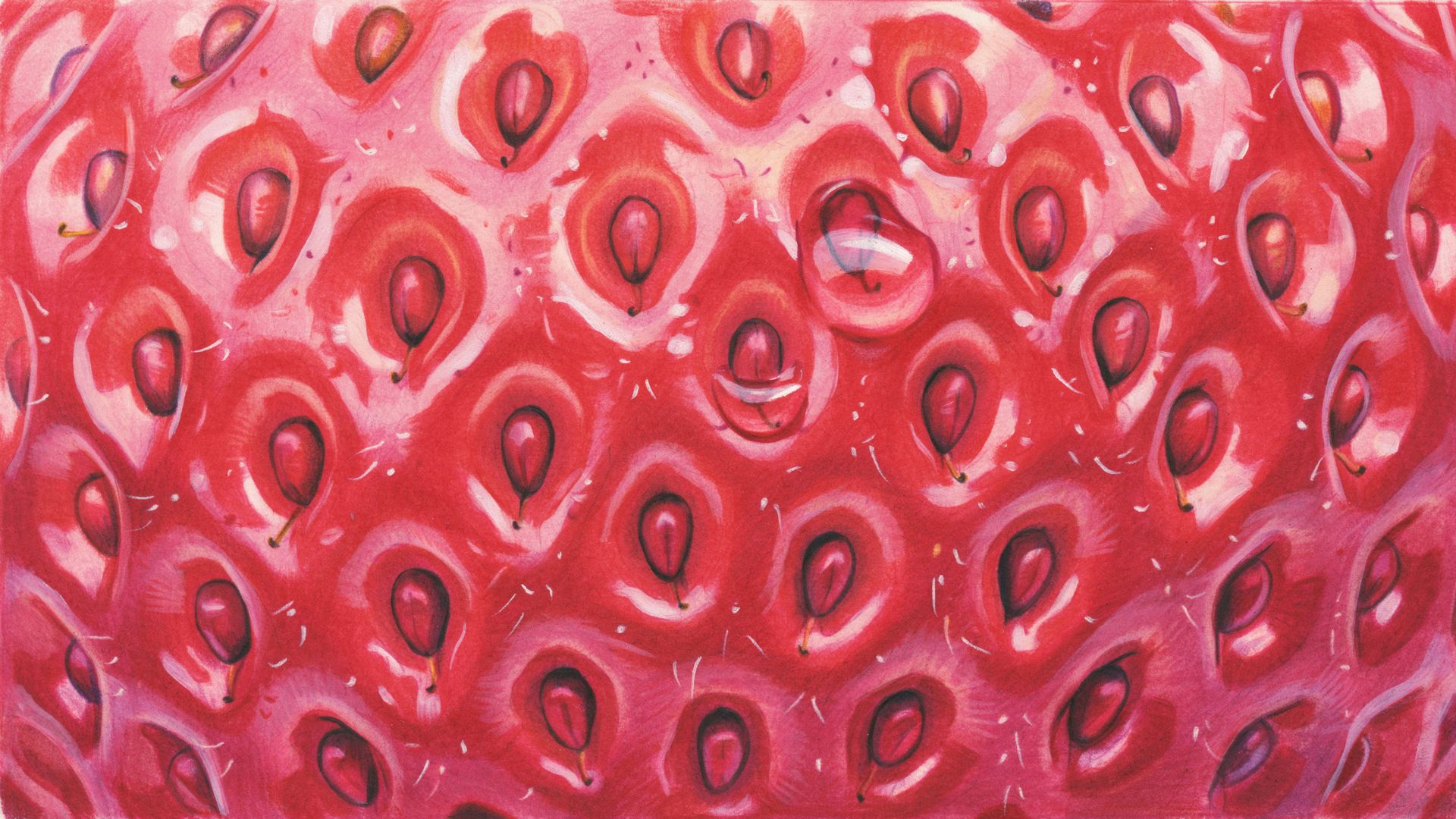 Strawberry drawing with realistic seed texture and natural spacing.