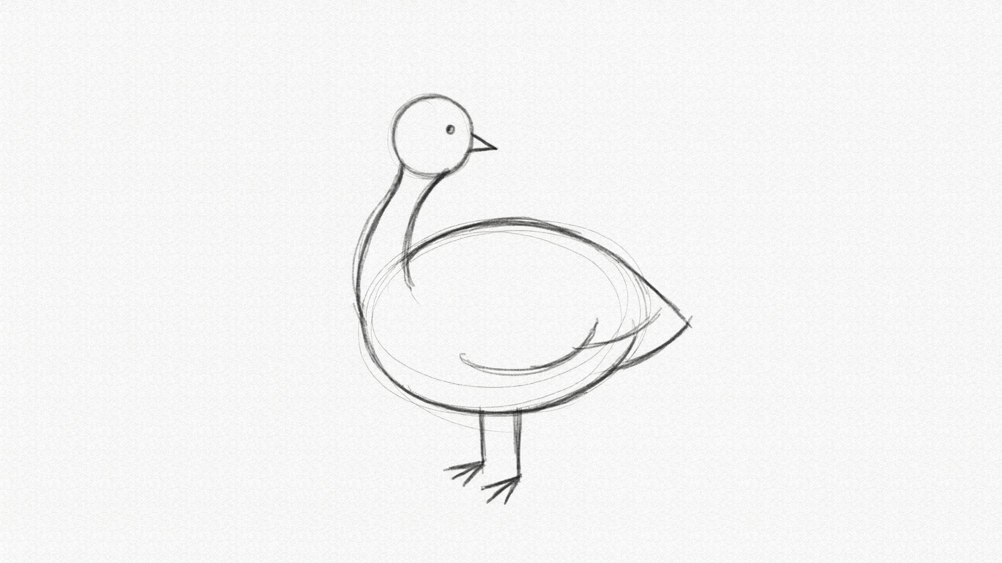 Turkey drawing with head and neck added