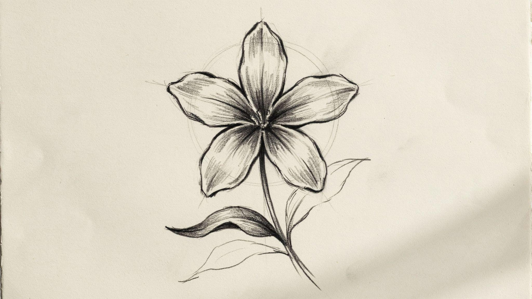 Overhead shot of hibiscus sketch in progress.