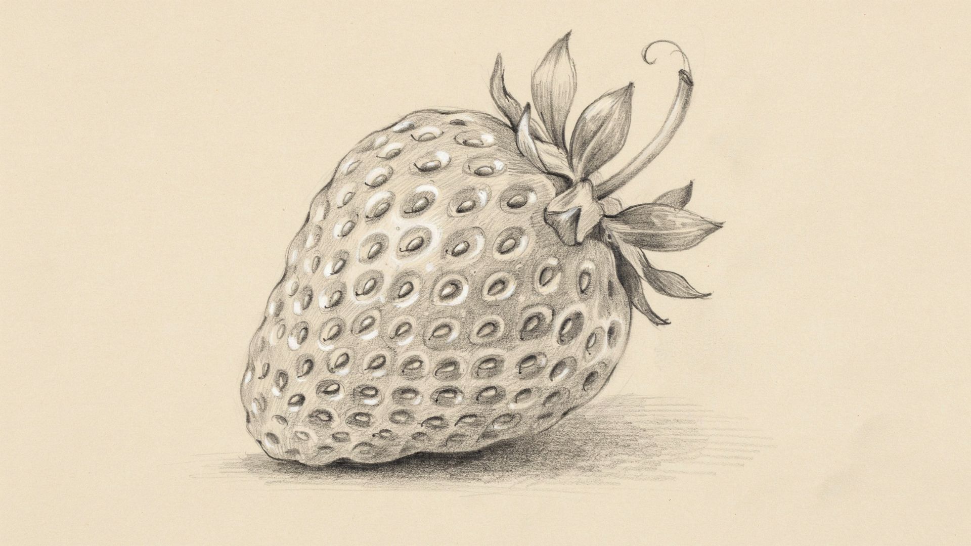 Strawberry drawing with small seeds evenly spaced across the fruit surface.