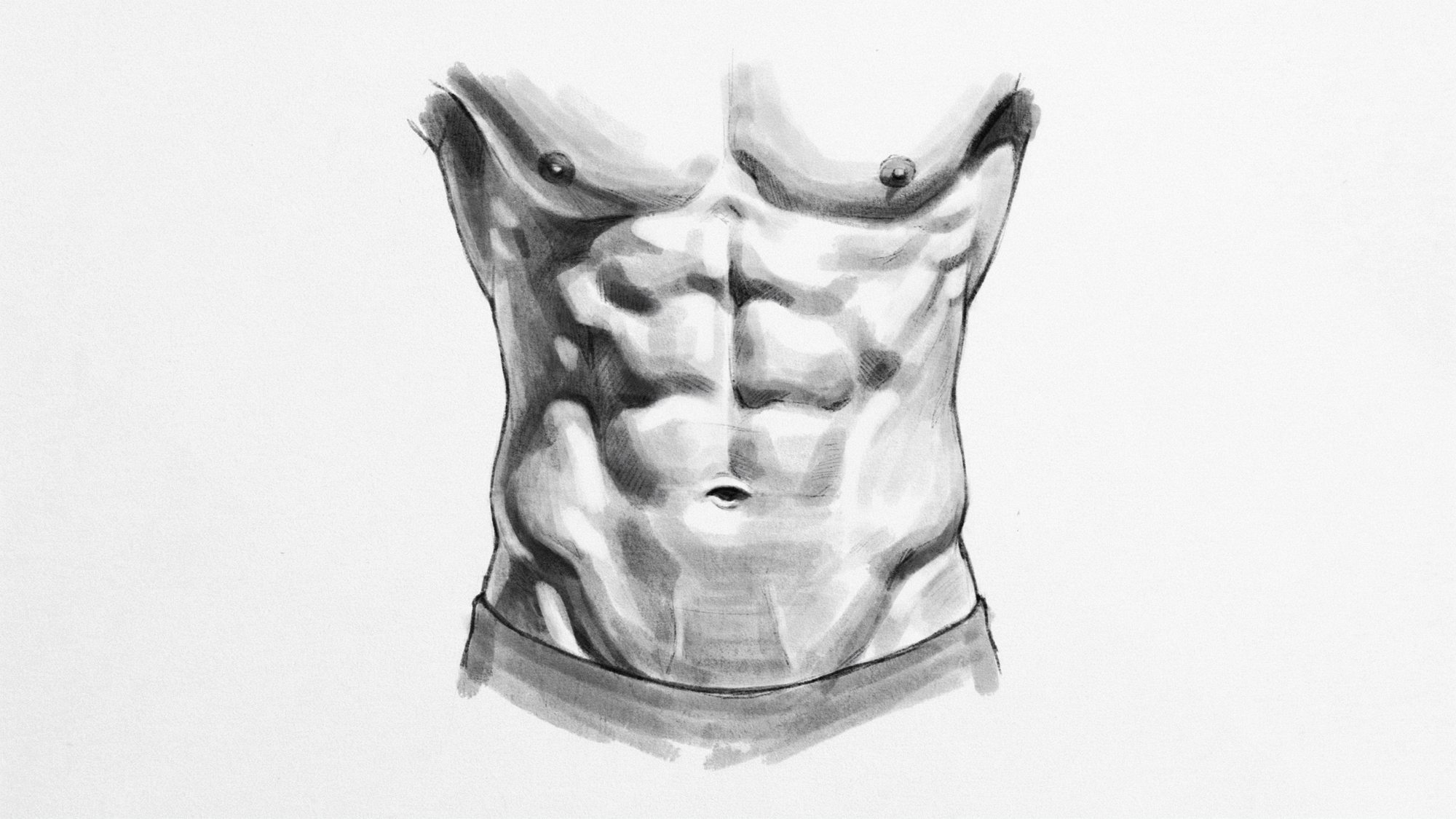 Realistically shaded abdominal muscles with depth and volume.