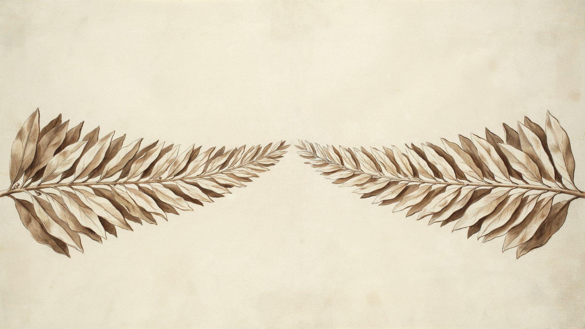 Julius Caesar Laurel Wreath creating a half-crescent framework on each side.