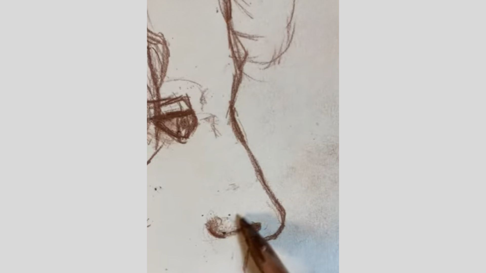 A pencil illustration of a Person, focusing on its facial features and contours, in the style of Renaissance art tutorials