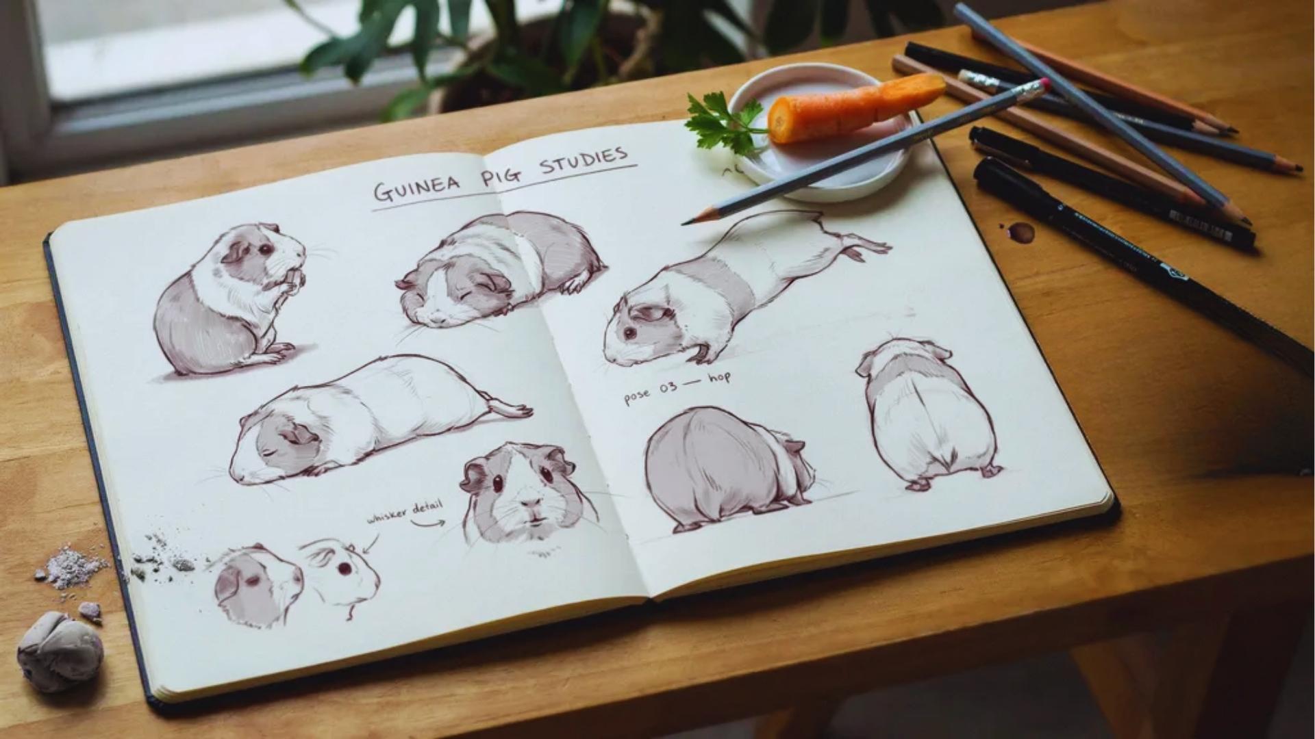 multiple guinea pig drawings in different poses on paper, showing practice techniques that help beginners improve drawing skills and understand body shapes better.