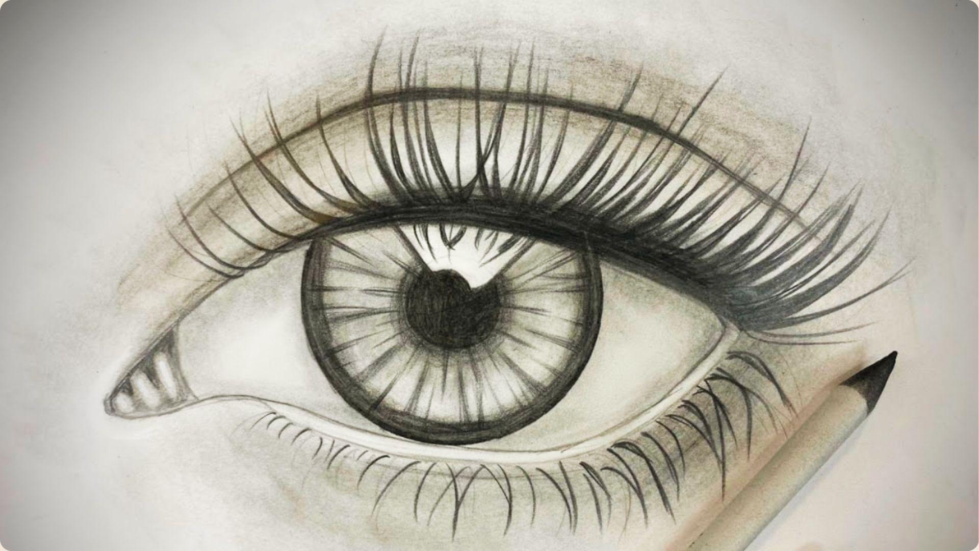 Detailed pencil sketch of an eye with long, dramatic upper lashes and full lower lashes.