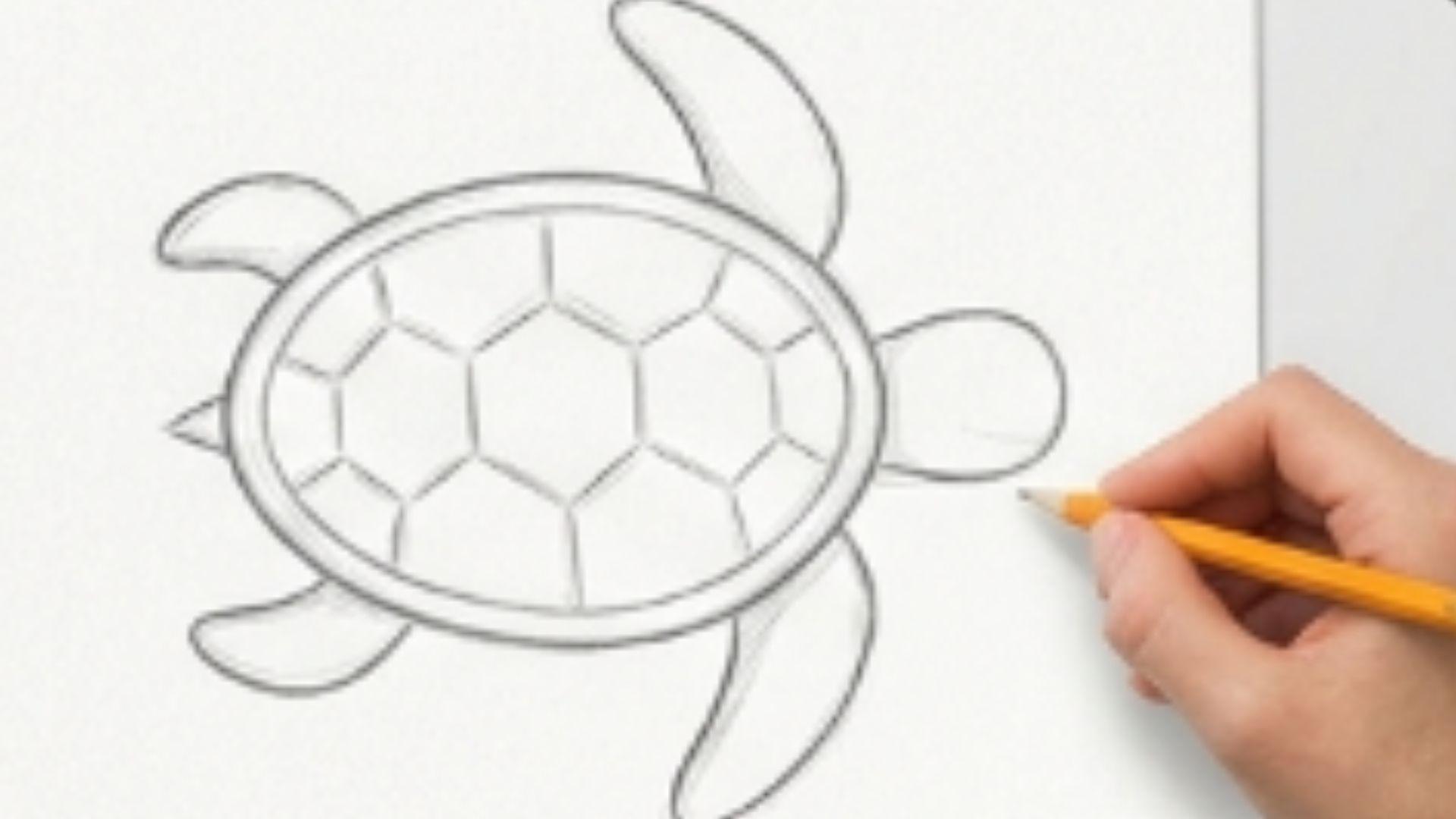 Hexagon and curved line patterns are added inside the sea turtle shell to create texture in a simple drawing tutorial.
