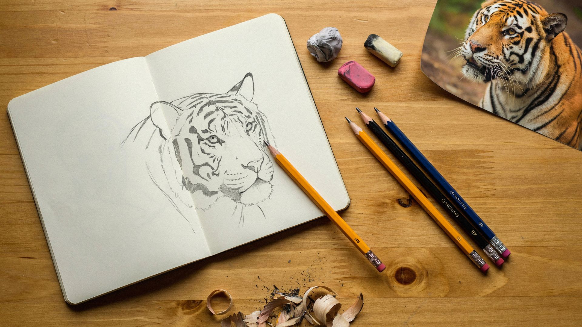 Basic materials needed for easy lion drawing