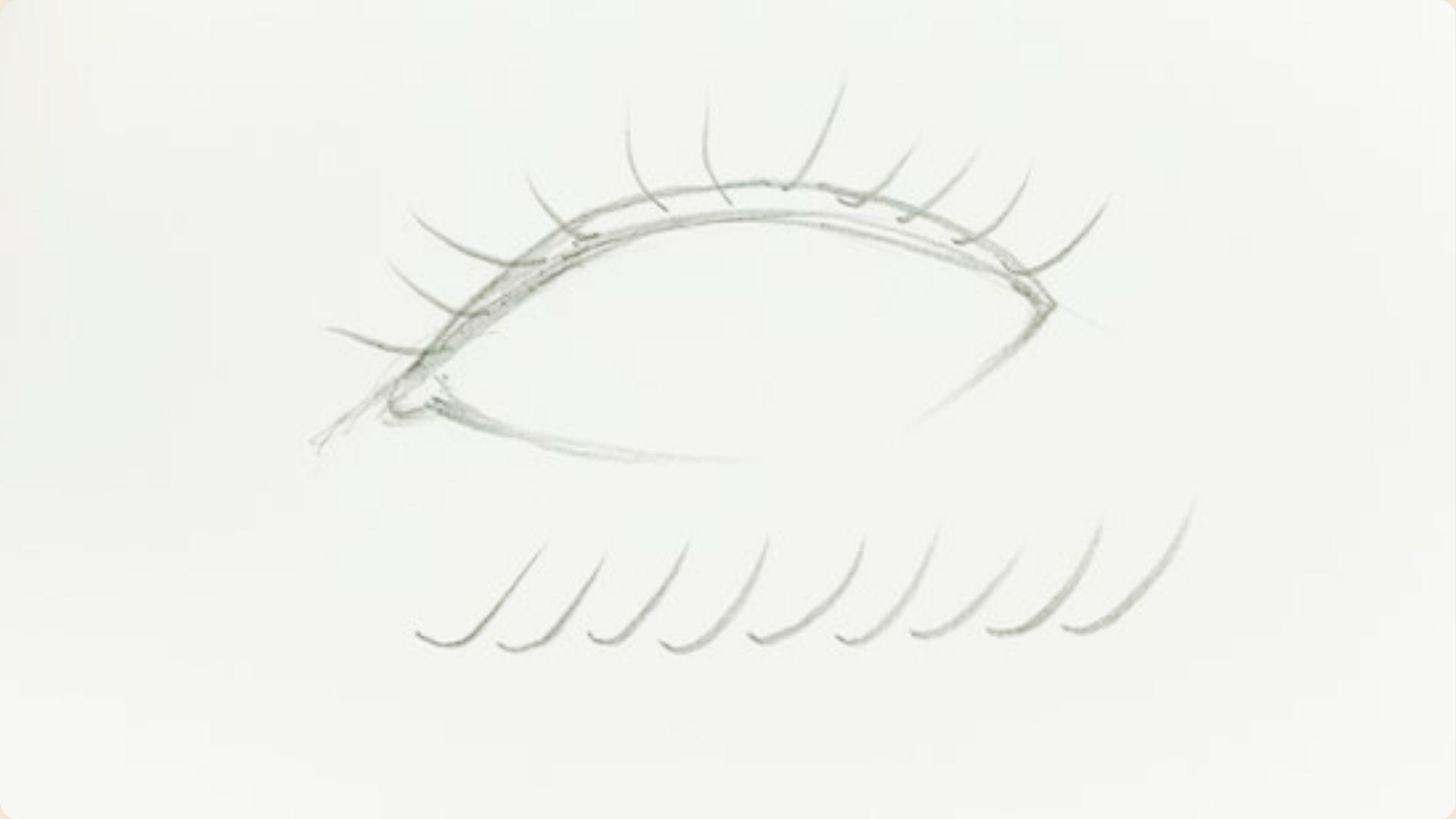 Minimal outline of an eye with sparse upper lashes and a row of practice eyelash strokes below it.