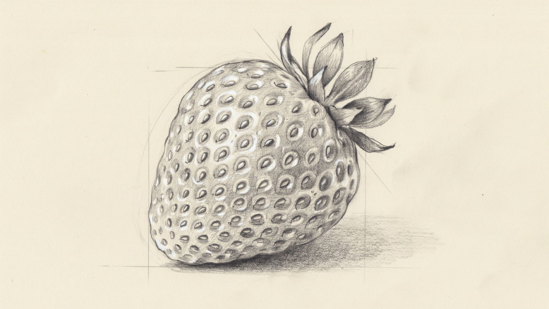 Strawberry sketch with a short stem drawn above the leafy crown.