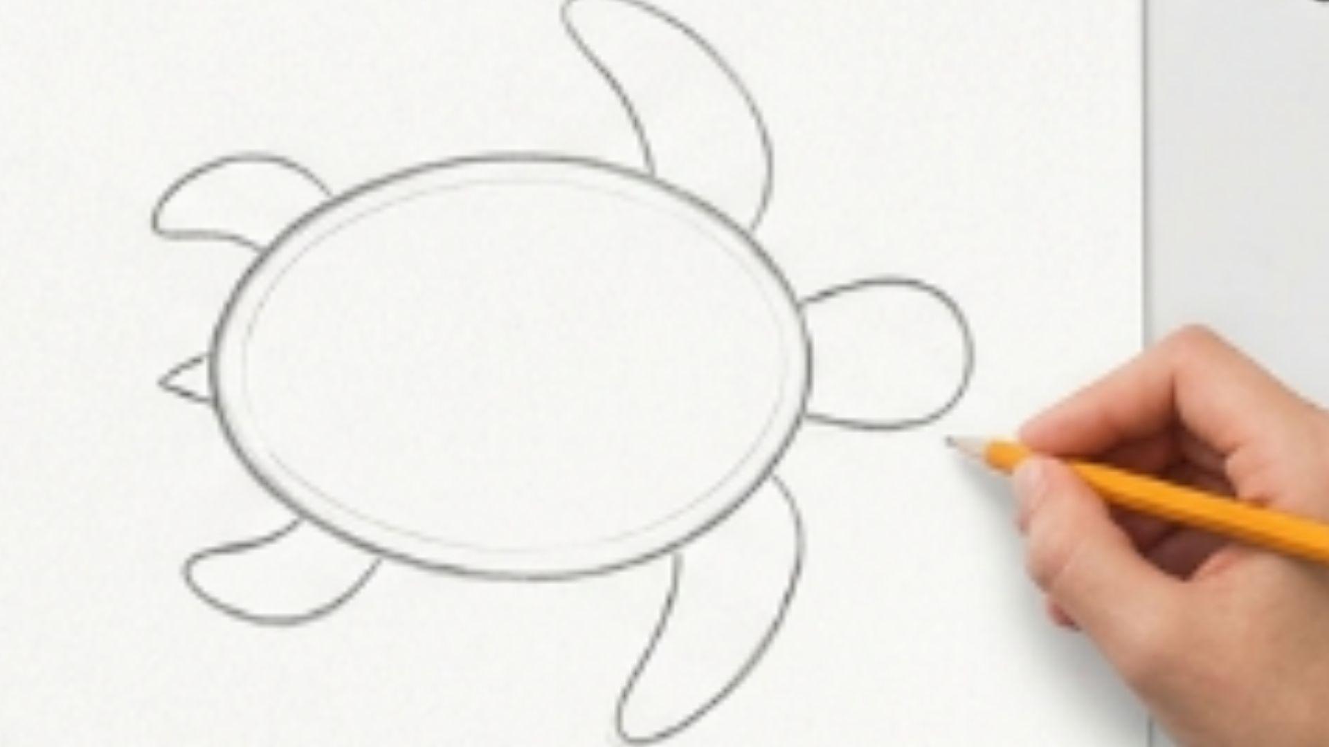 A small tail is drawn at the back of the sea turtle shell in a clean, beginner-friendly sketch step.